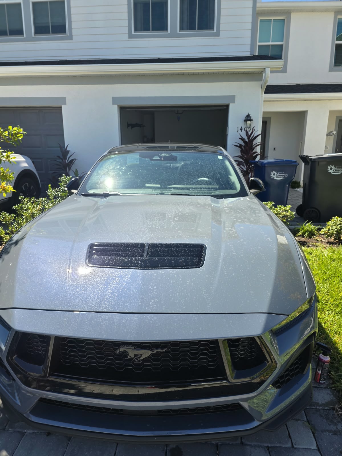 Gray vehicle exterior — Before